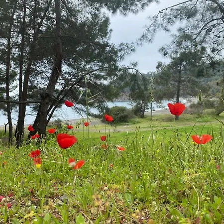 Nocleg ze śniadaniem Inlice Uenzile Inlice Kamp Fethiye