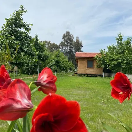 Inlice Uenzile Inlice Kamp Nocleg ze śniadaniem *