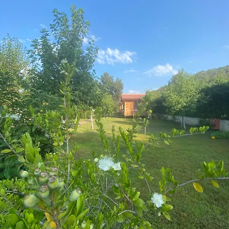 Inlice Uenzile Inlice Kamp Nocleg ze śniadaniem Fethiye